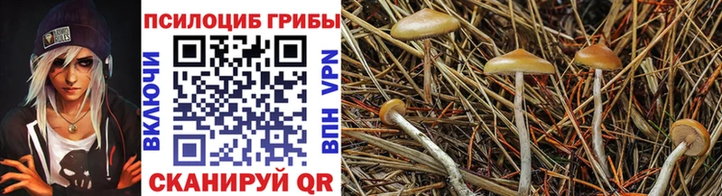 гидра ТОР  Бирюсинск  Галлюциногенные грибы GOLDEN TEACHER  продажа наркотиков 